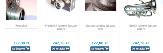 Ecommerce